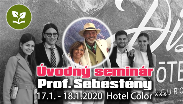 Úvodný seminár s prof. Sebesténym