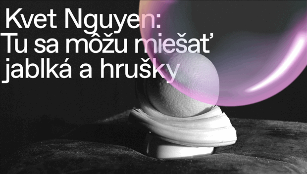 Kvet Nguyen: Tu sa môžu miešať jablká a hrušky