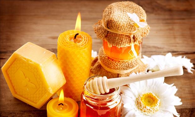 Tvorivé včielky - hravé tvorenie s včelím voskom / Košice