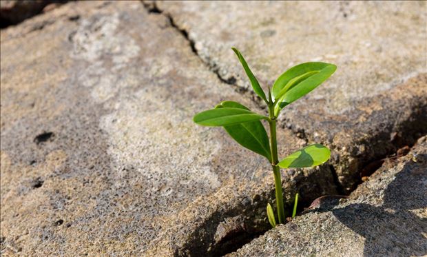 Workshop: KDE JE VÔĽA, TAM JE CESTA v Banskej Bystrici