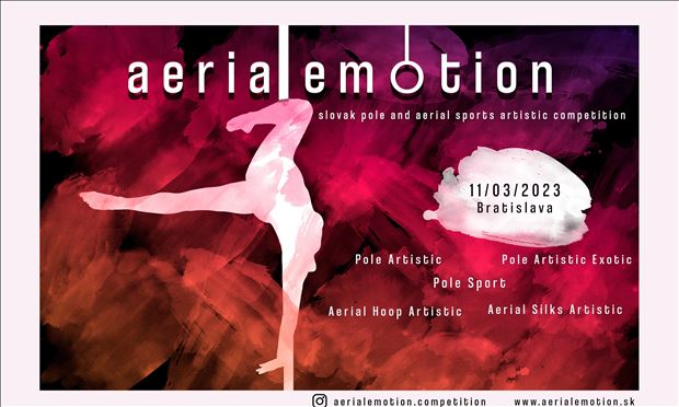 AerialEmotion Competition
