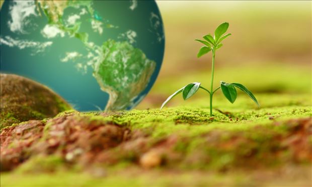 Prepoj sa so zemou – zážitkový workshop / Bratislava