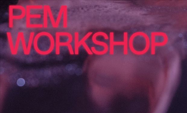 PEM WORKSHOP