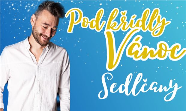 Pod křídly Vánoc 2023 - Patrik Stoupa  - Sedlčany