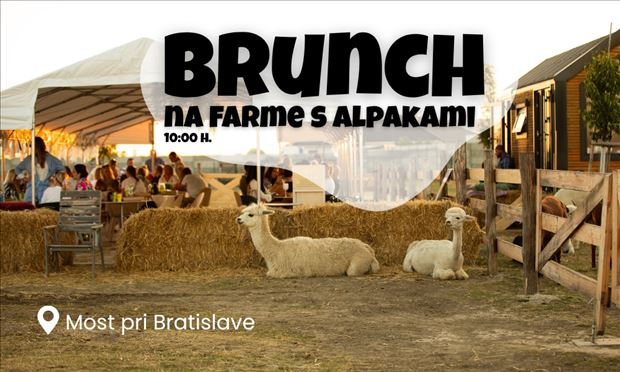 Brunch na farme s alpakami  - Most pri Bratislave