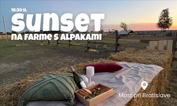 Sunset on the Farm with Alpacas  