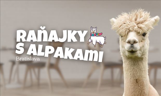 Raňajky s alpakami v Bratislave