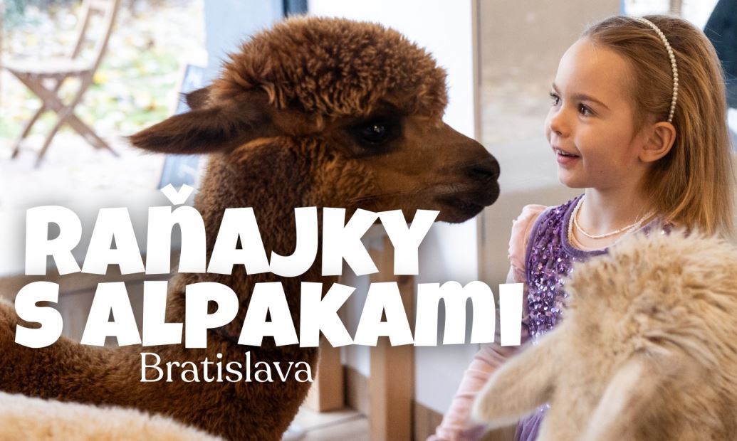 Raňajky s alpakami v Bratislave 2026
