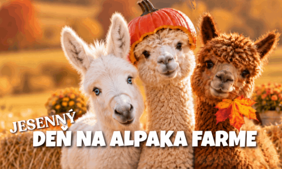 Deň na alpaka farme
