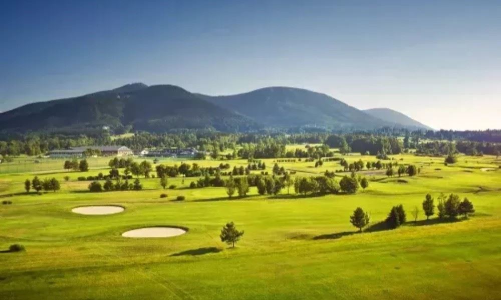 The New Course – Ročná hracia karta