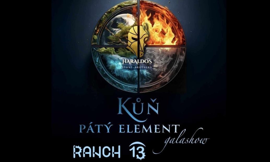 Kôň Piaty Element - Konská Show R13