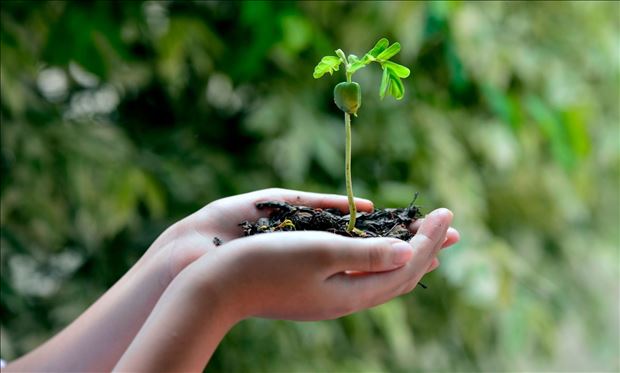 Workshop: Ako spraviť svoj deň ekologickejším / Bratislava