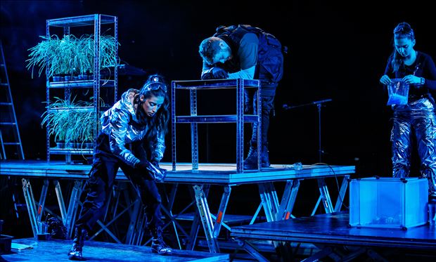 Tajný život stromov