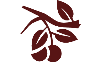 Za viňanskima jatkami 