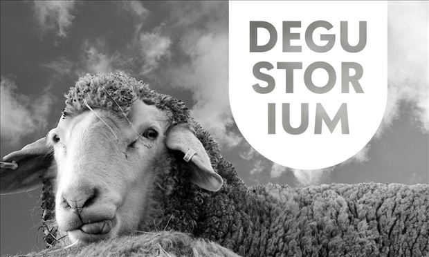 DEGUSTORIUM 2022 - 3. ročník festivalu remeselných potravín 