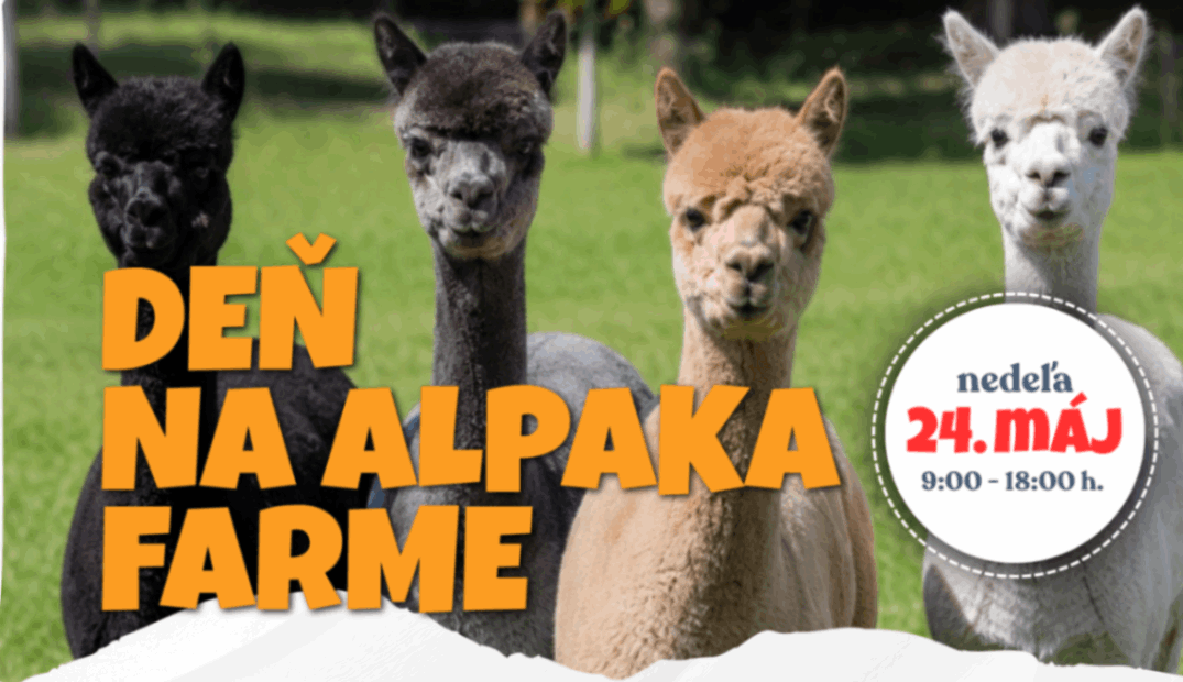Deň na alpaka farme 24.5.