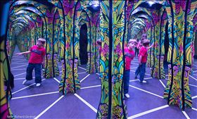 Tricklandia
