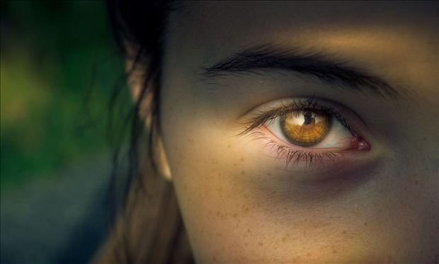 Workshop: PAMÄŤ A KONCENTRÁCIA v Banskej Bystrici