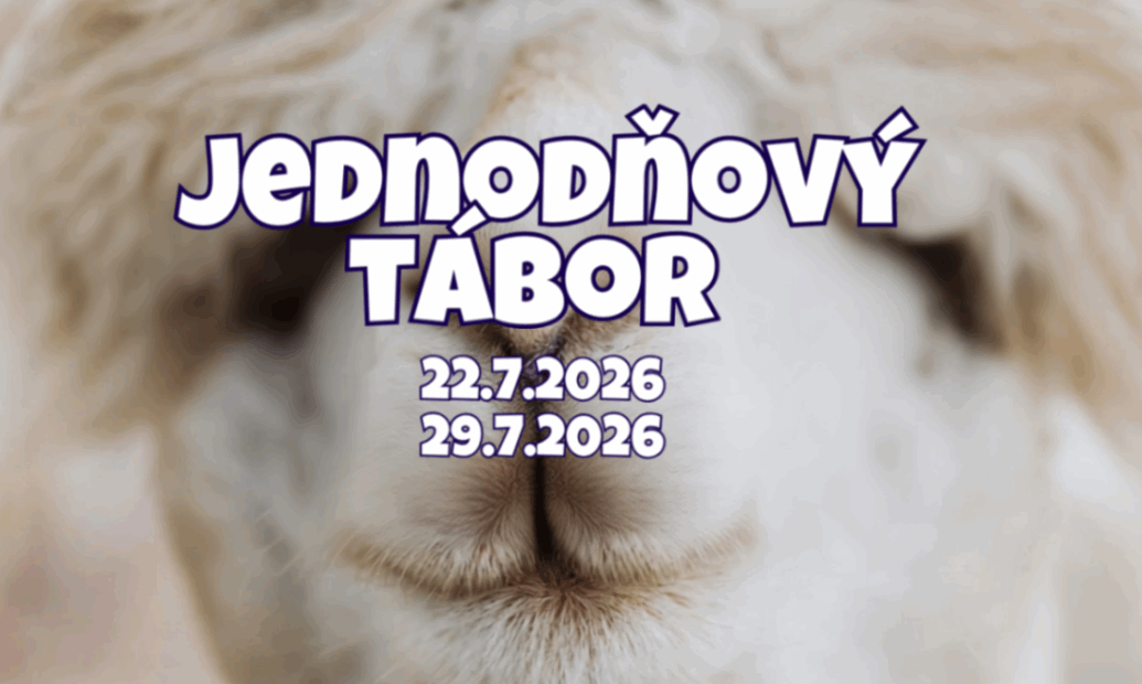 Jednodňový tábor na alpaka farme 