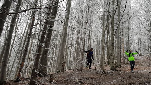 Okolo chotára: Trailový (zimný) dvojkopčák (Strážov & Kľak)