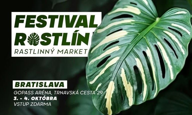 Festival Rastlín - Bratislava