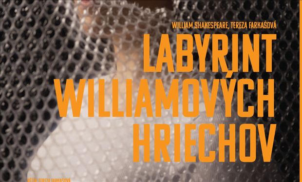 LABYRINT WILLIAMOVÝCH HRIECHOV