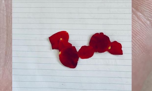 CORRELATION - Premiéra